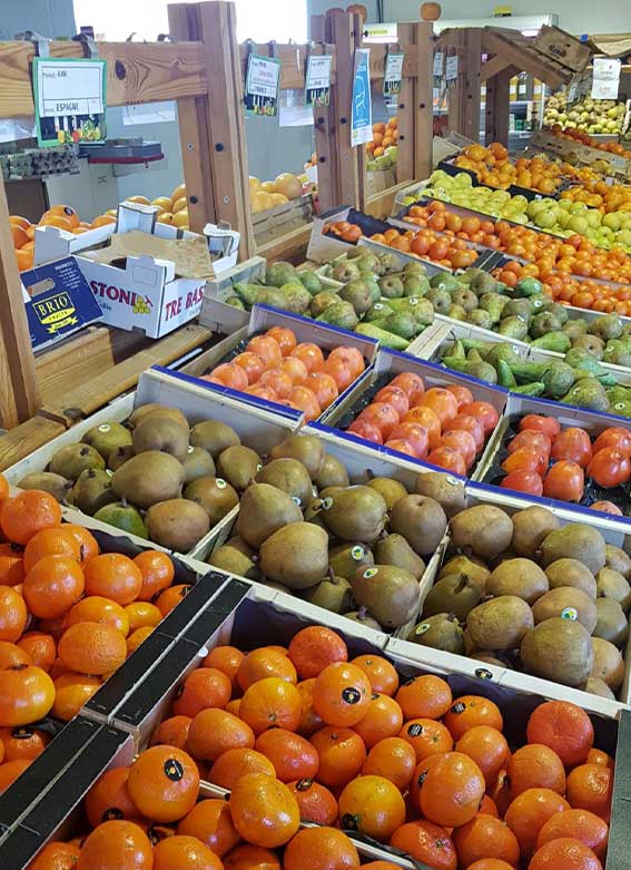 Vente de légumes Villemandeur, Vente de légumes Château-Renard, Vente de légumes Amilly, Vente de fruits Villemandeur, Vente de fruits Montargis, Vente de fruits Amilly